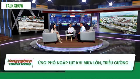 Ứng phó ngập lụt khi mưa lớn, triều cường