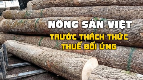 Ngành gỗ tìm giải pháp duy trì thị trường Hoa Kỳ