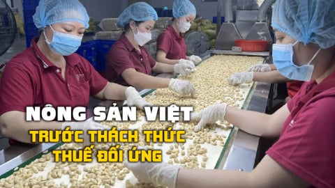 Hạt điều còn nhiều dư địa ngoài thị trường Hoa Kỳ