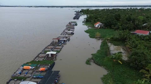 Kè sông An Bình chậm triển khai do chưa di dời 1.000 lồng bè cá