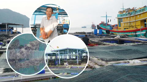 Nuôi biển gắn với du lịch - Hướng phát triển bền vững ở Côn Đảo