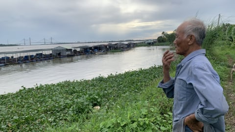 Dân cù lao An Bình thấp thỏm chờ kè chống sạt lở