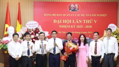 Ông Đỗ Quang Tùng tái đắc cử Bí thư Ban Quản lý các dự án Lâm nghiệp