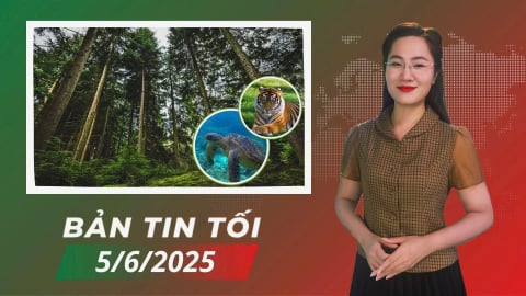 Góp ý sửa đổi Luật Lâm nghiệp và Luật Đa dạng sinh học