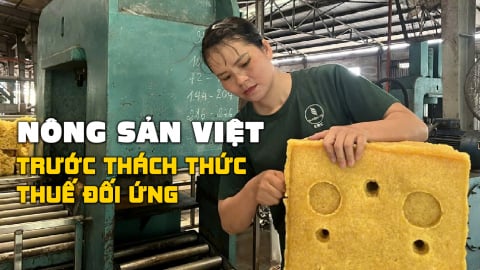 Cao su tận dụng thị trường trọng điểm, khai thác thị trường mới nổi