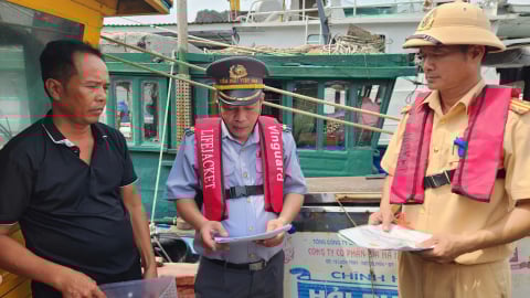 Quảng Ninh xử phạt vi phạm IUU hơn 2 tỷ đồng trong đợt cao điểm
