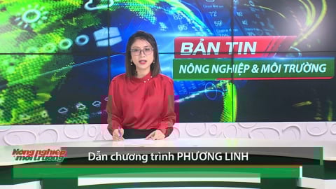 Bản tin Truyền hình NN&MT số 23/2025 (số 410)