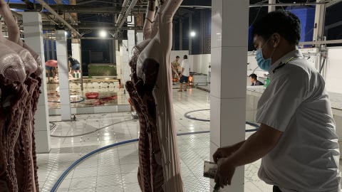 Phát hiện một cơ sở giết mổ heo vi phạm quy định về môi trường