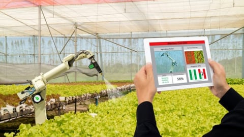AI dẫn dắt kỷ nguyên nông nghiệp chính xác