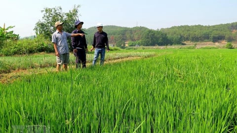 Khuyến cáo bảo vệ sản xuất ứng phó bão số 1