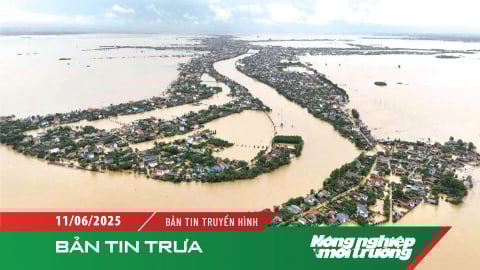 Sẵn sàng ứng phó ngập lụt và sạt lở đất