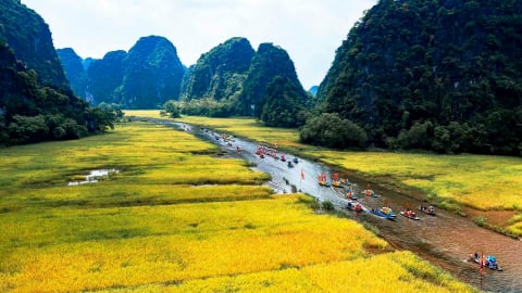 Sắc vàng bên dòng sông Ngô Đồng hút hồn khách du lịch