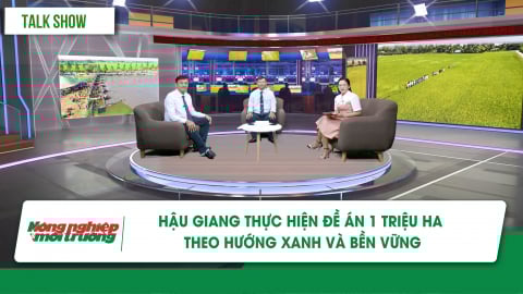 Hậu Giang thực hiện Đề án 1 triệu ha theo hướng xanh và bền vững