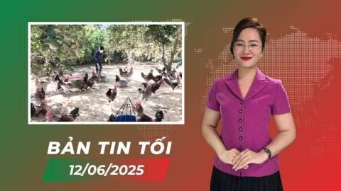 Chăn nuôi không kháng sinh – Giải pháp bền vững cho tương lai