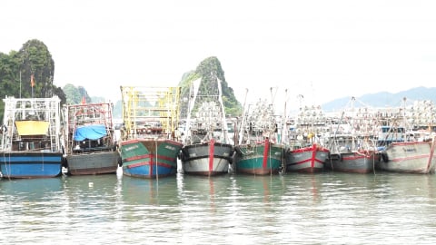 Quảng Ninh: Tạm ngừng hoạt động đường thủy do ảnh hưởng bão số 1