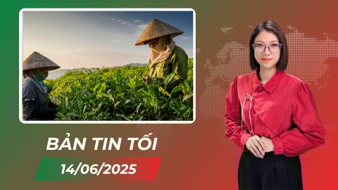 Thay đổi tư duy canh tác ở vùng chè trăm tuổi