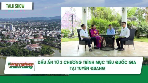 Dấu ấn từ 3 chương trình mục tiêu quốc gia tại Tuyên Quang