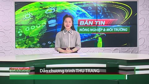 Bản tin Truyền hình Nông nghiệp và Môi trường, số 24/2025.
