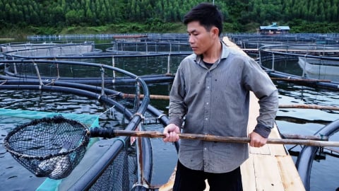 Hơn 300 hộ dân nuôi cá lồng làm giàu trên lòng hồ Thác Bà