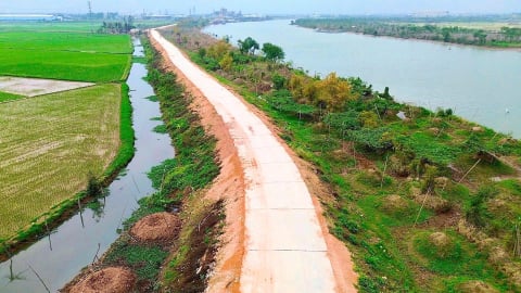 Giữ mạch nước – Nâng mùa vàng Hải Dương