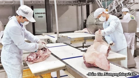 Thúc đẩy an toàn thực phẩm từ gốc tới người tiêu dùng