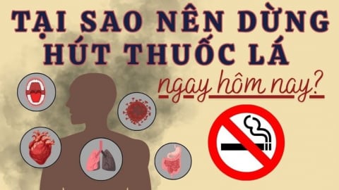 Infographic: Tại sao nên dừng hút thuốc lá ngay hôm nay?