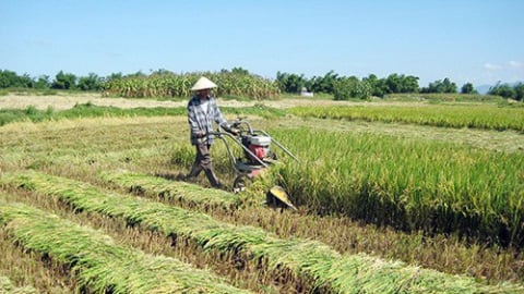 Cấp xã có thể quyết định miễn, giảm thuế sử dụng đất nông nghiệp