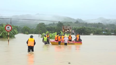 Thái Nguyên: Mưa lớn khiến nhiều diện tích hoa màu và vật nuôi bị thiệt hại