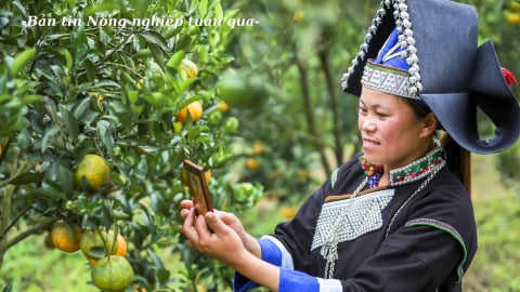 Nâng chất lượng đời sống nông thôn từ hai chương trình trụ cột quốc gia