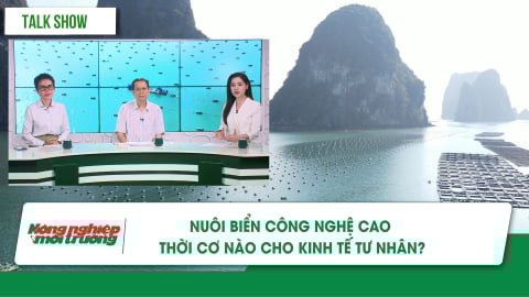 Nghị quyết 68 kỳ vọng tạo đột phá cho nuôi biển