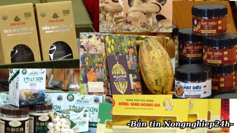 Thêm 47 sản phẩm OCOP cấp Quốc gia – Thêm động lực phát triển nông thôn