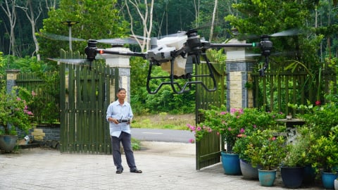 Cây khỏe, trái tốt nhờ máy bay không người lái chăm vườn