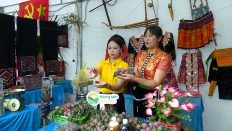 Trái ngọt trên vùng cao Yên Châu
