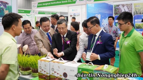 Hợp tác quốc tế ngành giống và thuốc bảo vệ thực vật tăng tốc