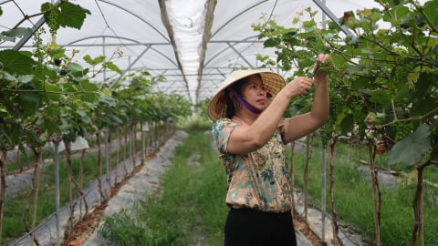 Biến đất hoang hóa thành nông trại màu mỡ
