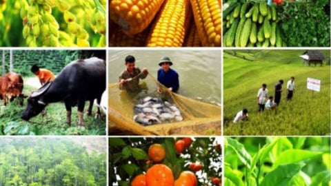 Những thay đổi về chính sách thuế từ 1/7/2025