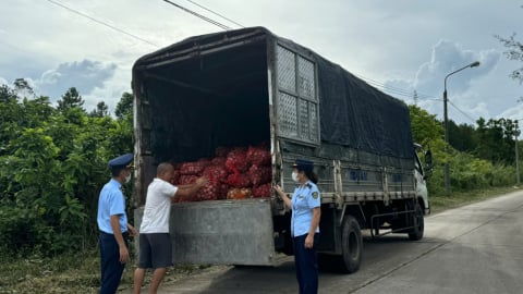 Quảng Ninh tiêu hủy gần 17 tấn ngao, hàu nhập lậu