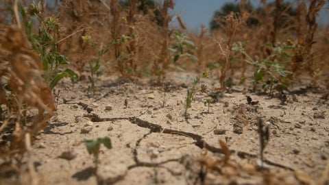 81% công dân EU ủng hộ mục tiêu trung hòa carbon vào năm 2050