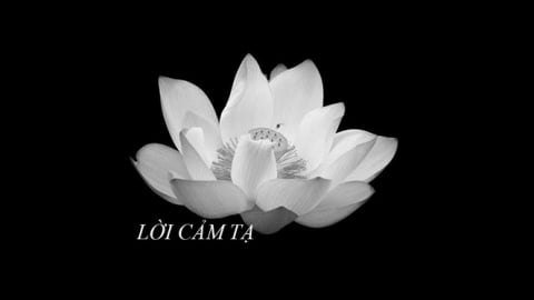 LỜI CẢM TẠ