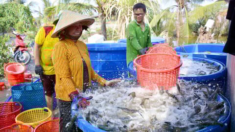 Nhiều hàng hóa, dịch vụ được miễn thuế VAT