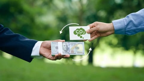 Giao dịch tín chỉ carbon cao kỷ lục, lâm nghiệp dẫn đầu làn sóng