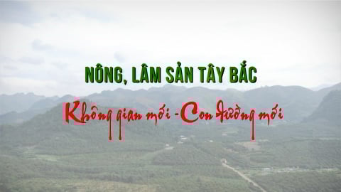 Nông sản Tây Bắc: Không gian mới - Con đường mới