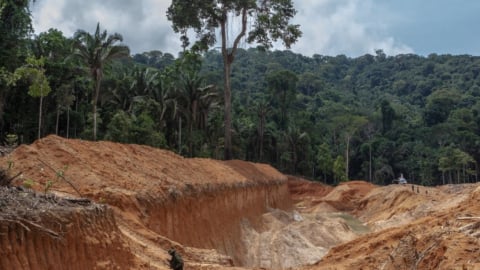 Brazil kiện thỏa thuận carbon 180 triệu USD vì thiếu tiếng nói người bản địa Amazon