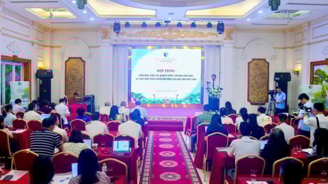 Triển khai hiệu quả công tác quản lý chất thải rắn và trách nhiệm EPR