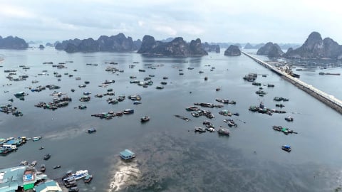 Chuyển đổi số để quản lý tàu cá tại Quảng Ninh