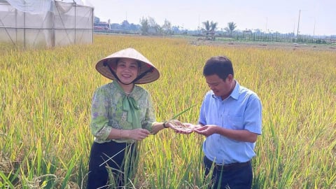 Nông nghiệp Hải Phòng kỳ vọng đột phá sau sáp nhập