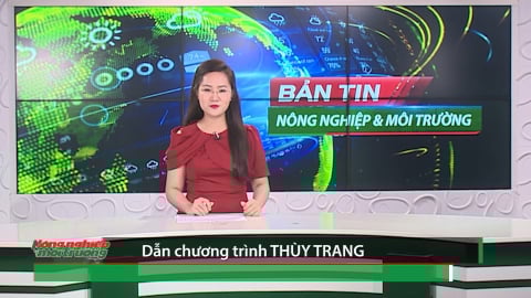 Bản tin Truyền hình Nông nghiệp và Môi trường số 27/2025 (Số 414)