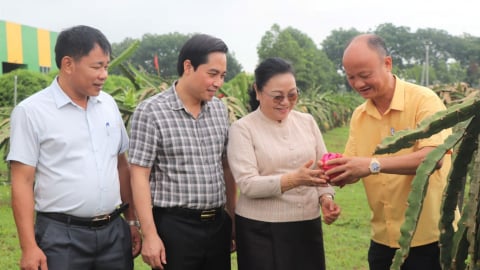 Đại sứ nước Lào ngưỡng mộ mô hình phát triển của Tiến Nông