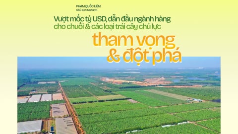 Đưa ngành chuối Việt Nam vượt mốc tỷ USD - tham vọng và đột phá