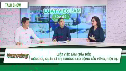 Luật Việc làm (sửa đổi) - Công cụ quản lý thị trường lao động hiện đại